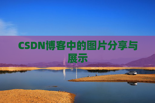 CSDN博客中的图片分享与展示